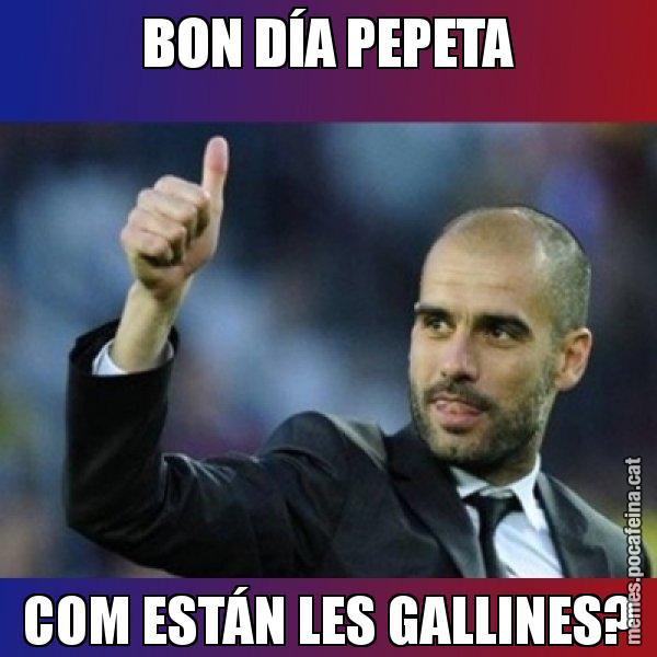 BON DÍA PEPETA COM ESTÁN LES GALLINES? - Pep Guardiola