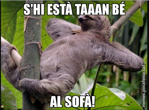 S'HI ESTÀ TAAAN BÉ AL SOFÀ!