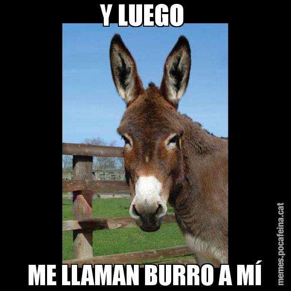 Y LUEGO  ME LLAMAN BURRO A MÍ - El burro Català