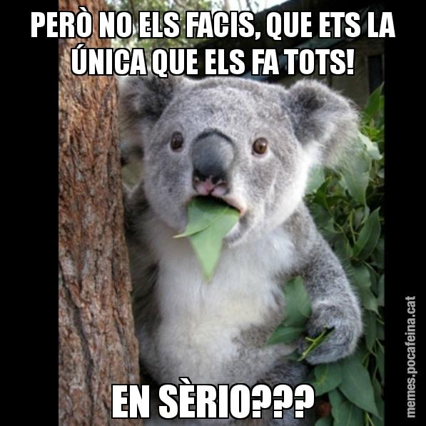 PERÒ NO ELS FACIS, QUE ETS LA ÚNICA QUE ELS FA TOTS! EN SÈRIO??? - Koala Cant Believe It