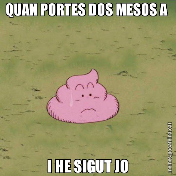QUAN PORTES DOS MESOS A  I HE SIGUT JO - Caca