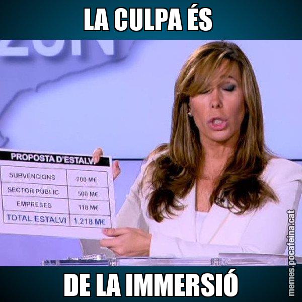 LA CULPA ÉS  DE LA IMMERSIÓ - Alícia Paper i Suma