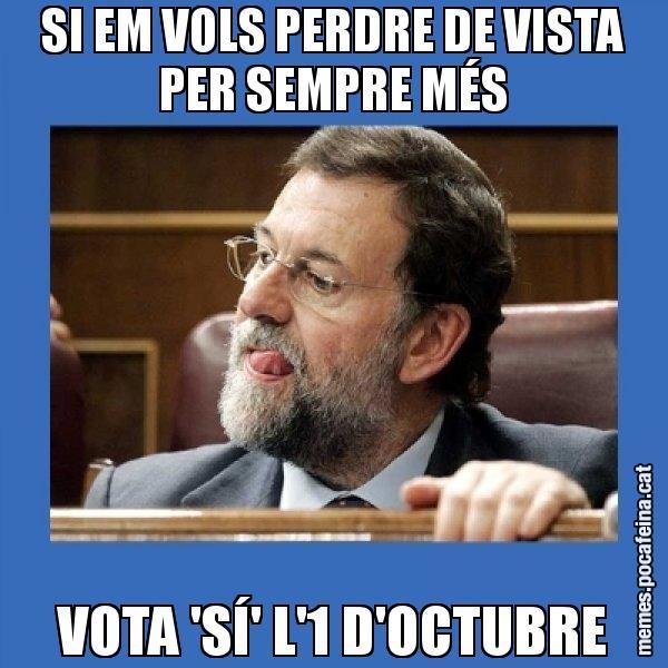 Meme vk4trz