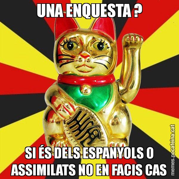 UNA ENQUESTA ? SI ÉS DELS ESPANYOLS O ASSIMILATS NO EN FACIS CAS - El Gat de la Cup - 27S