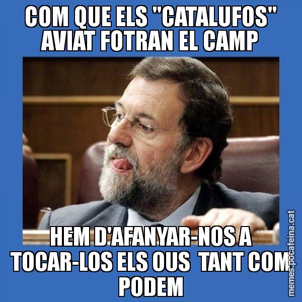 COM QUE ELS "CATALUFOS" AVIAT FOTRAN EL CAMP HEM D'AFANYAR-NOS A TOCAR-LOS ELS OUS  TANT COM PODEM - Mmmmmariano Rajoy