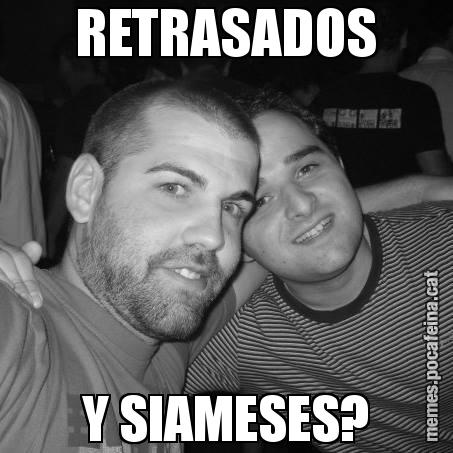 RETRASADOS Y SIAMESES?