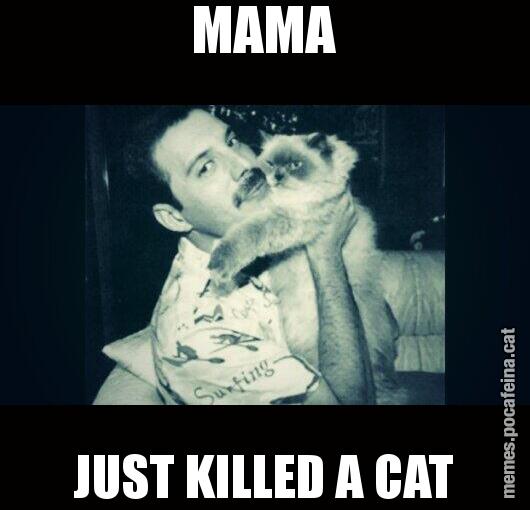 MAMA JUST KILLED A CAT