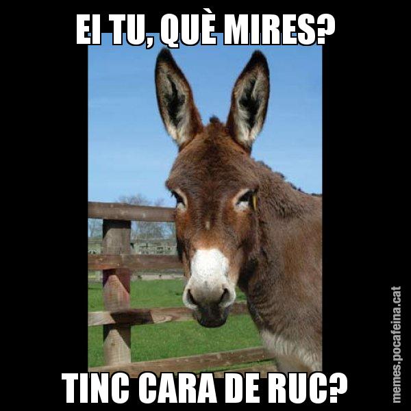 EI TU, QUÈ MIRES? TINC CARA DE RUC? - El burro Català