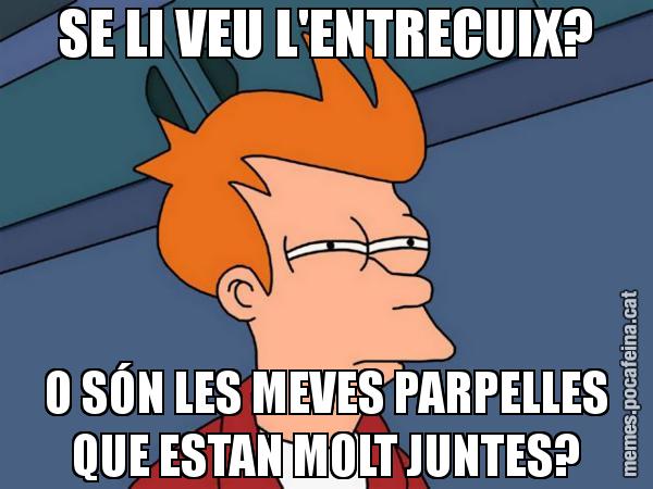 SE LI VEU L'ENTRECUIX? O SÓN LES MEVES PARPELLES QUE ESTAN MOLT JUNTES? - Futurama Fry