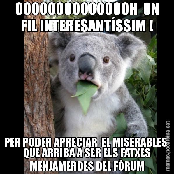 OOOOOOOOOOOOOOH UN FIL INTERESANTÍSSIM ! PER PODER APRECIAR EL MISERABLES QUE ARRIBA A SER ELS FATXES MENJAMERDES DEL FÒRUM - Koala Cant Believe It