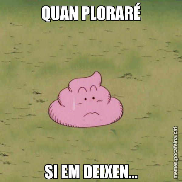 QUAN PLORARÉ SI EM DEIXEN... - Caca