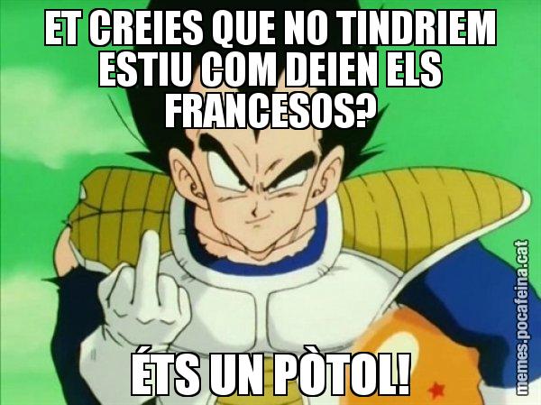 ET CREIES QUE NO TINDRIEM ESTIU COM DEIEN ELS FRANCESOS? ÉTS UN PÒTOL! - Vegeta