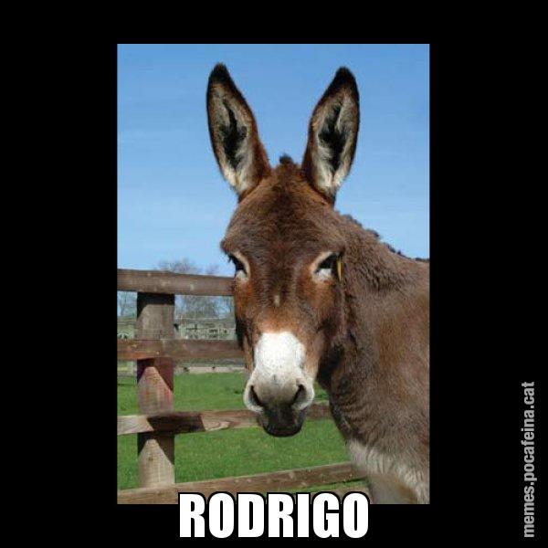 RODRIGO - El burro Català