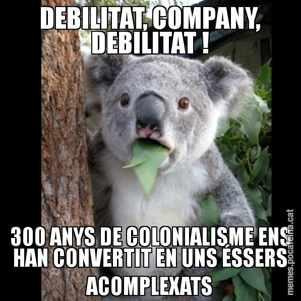 DEBILITAT, COMPANY, DEBILITAT ! 300 ANYS DE COLONIALISME ENS HAN CONVERTIT EN UNS ÉSSERS ACOMPLEXATS - Koala Cant Believe It