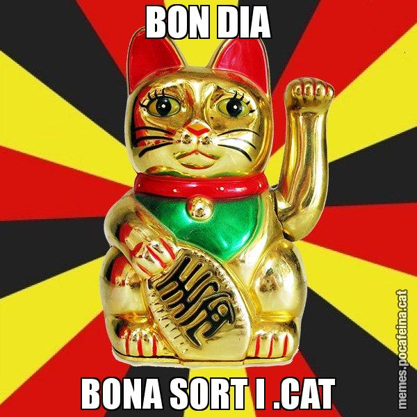 BON DIA BONA SORT I .CAT - El Gat de la Cup - 27S