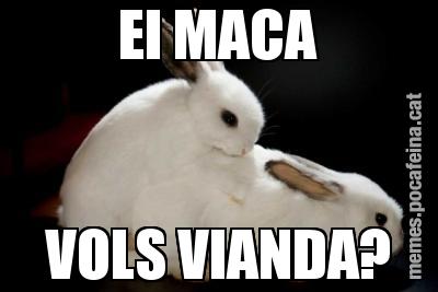 EI MACA VOLS VIANDA?