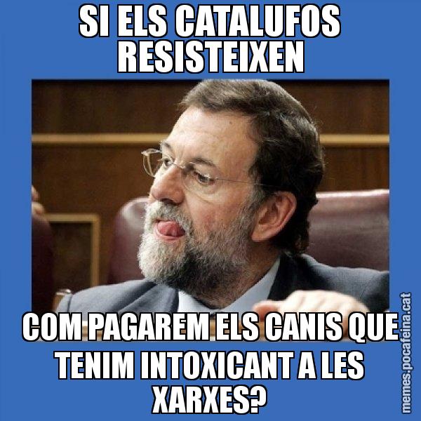 SI ELS CATALUFOS RESISTEIXEN COM PAGAREM ELS CANIS QUE TENIM INTOXICANT A LES XARXES? - Mmmmmariano Rajoy