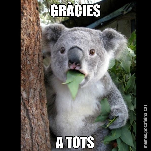 GRÀCIES A TOTS - Koala Cant Believe It