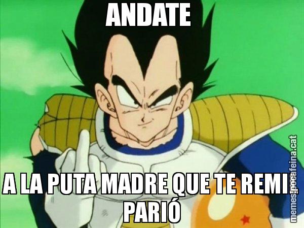ANDATE  A LA PUTA MADRE QUE TE REMIL PARIÓ - Vegeta