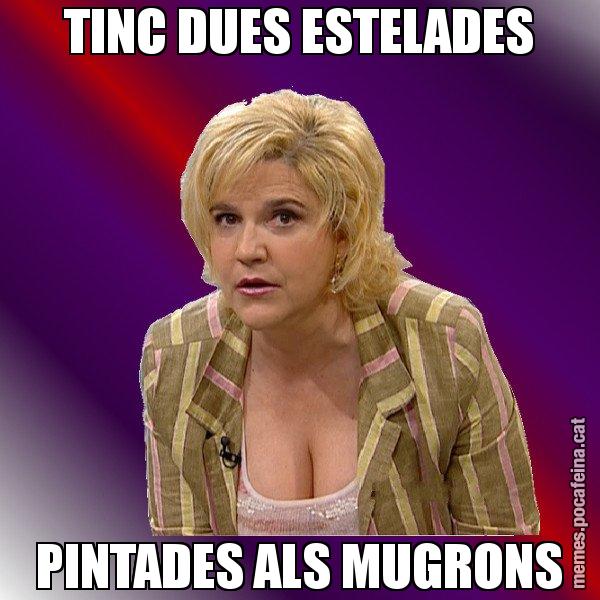 TINC DUES ESTELADES PINTADES ALS MUGRONS - Pilar Rahola
