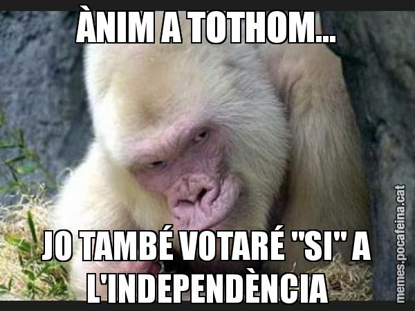 ÀNIM A TOTHOM... JO TAMBÉ VOTARÉ "SI" A L'INDEPENDÈNCIA