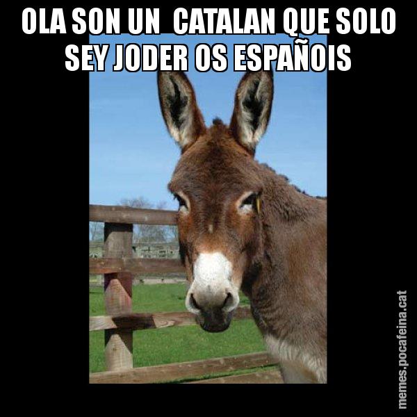 OLA SON UN  CATALAN QUE SOLO SEY JODER OS ESPAÑOIS - El burro Català