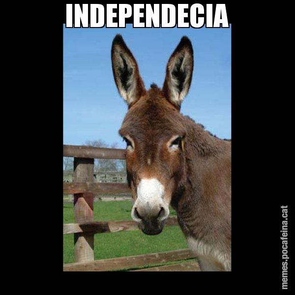 INDEPENDECIA - El burro Català