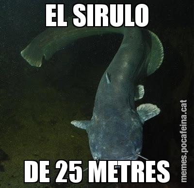 EL SIRULO DE 25 METRES