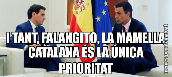 I TANT, FALANGITO, LA MAMELLA CATALANA ÉS LA ÚNICA PRIORITAT
