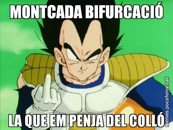 MONTCADA BIFURCACIÓ LA QUE EM PENJA DEL COLLÓ - Vegeta