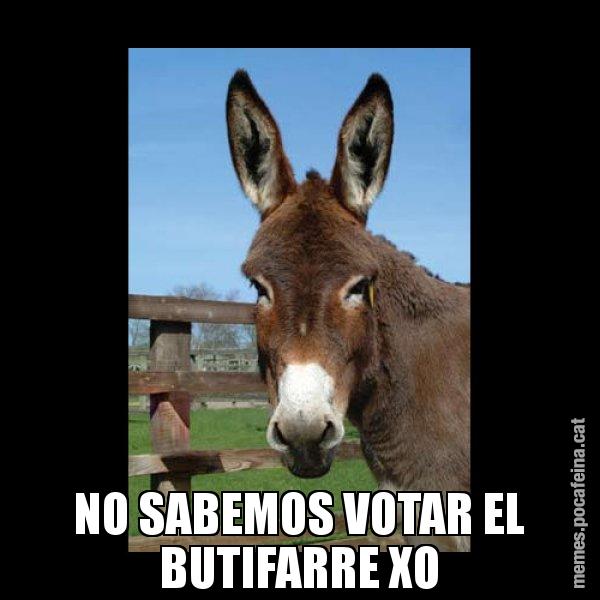 NO SABEMOS VOTAR EL BUTIFARRE XO - El burro Català