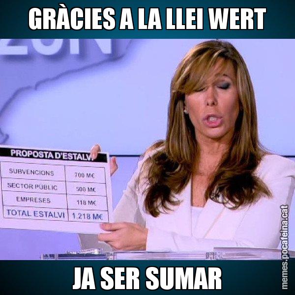 GRÀCIES A LA LLEI WERT JA SER SUMAR - Alícia Paper i Suma