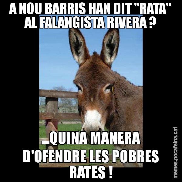 A NOU BARRIS HAN DIT "RATA" AL FALANGISTA RIVERA ? ...QUINA MANERA D'OFENDRE LES POBRES RATES ! - El burro Català