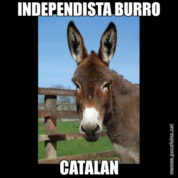 INDEPENDISTA BURRO CATALAN - El burro Català