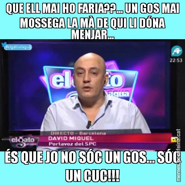 QUE ELL MAI HO FARIA??... UN GOS MAI MOSSEGA LA MÀ DE QUI LI DÓNA MENJAR... ÉS QUE JO NO SÓC UN GOS... SÓC UN CUC!!!