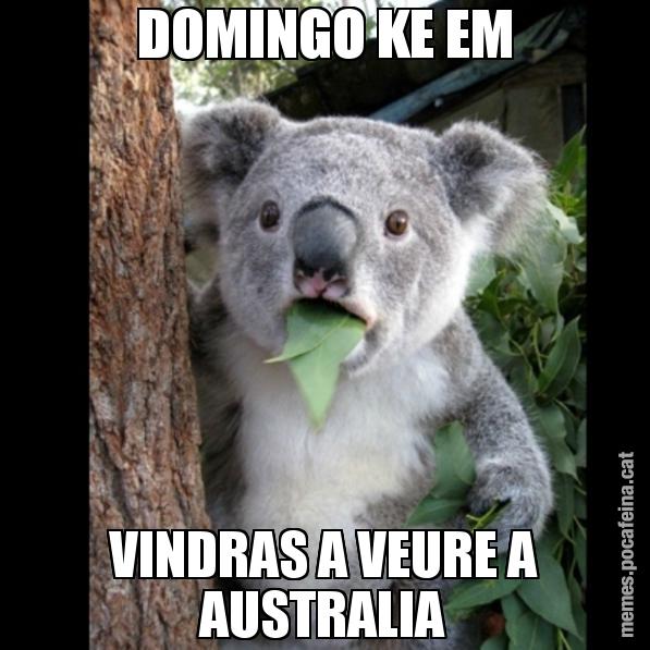 DOMINGO KE EM VINDRAS A VEURE A AUSTRALIA - Koala Cant Believe It