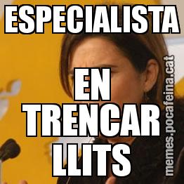 ESPECIALISTA EN TRENCAR LLITS