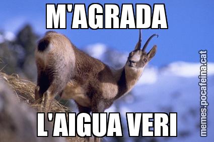 M'AGRADA L'AIGUA VERI