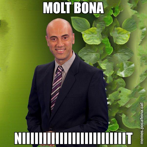 MOLT BONA NIIIIIIIIIIIIIIIIIIIIIIIIIT - Tomàs Molina