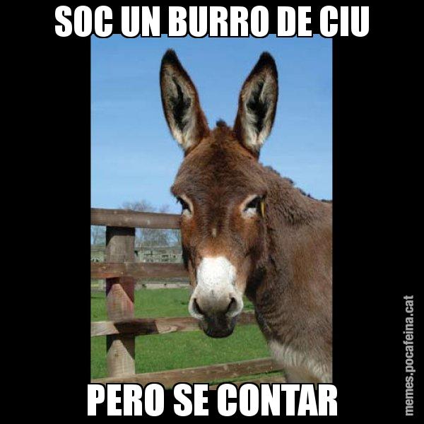 SOC UN BURRO DE CIU PERO SE CONTAR - El burro Català
