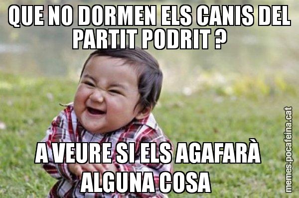 QUE NO DORMEN ELS CANIS DEL PARTIT PODRIT ? A VEURE SI ELS AGAFARÀ ALGUNA COSA - El diabòlic nen asiàtic