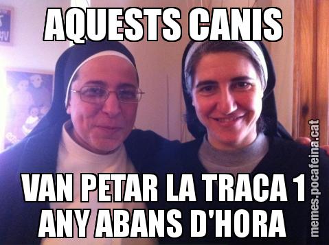 AQUESTS CANIS VAN PETAR LA TRACA 1 ANY ABANS D'HORA