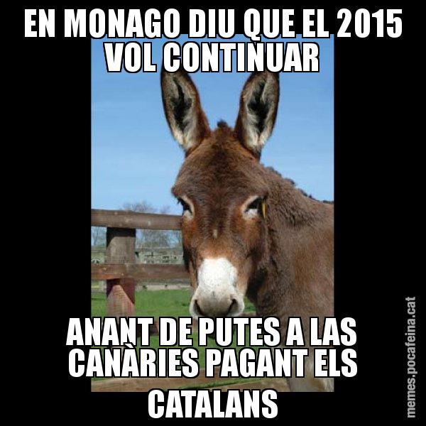 EN MONAGO DIU QUE EL 2015 VOL CONTINUAR ANANT DE PUTES A LAS CANÀRIES PAGANT ELS CATALANS - El burro Català