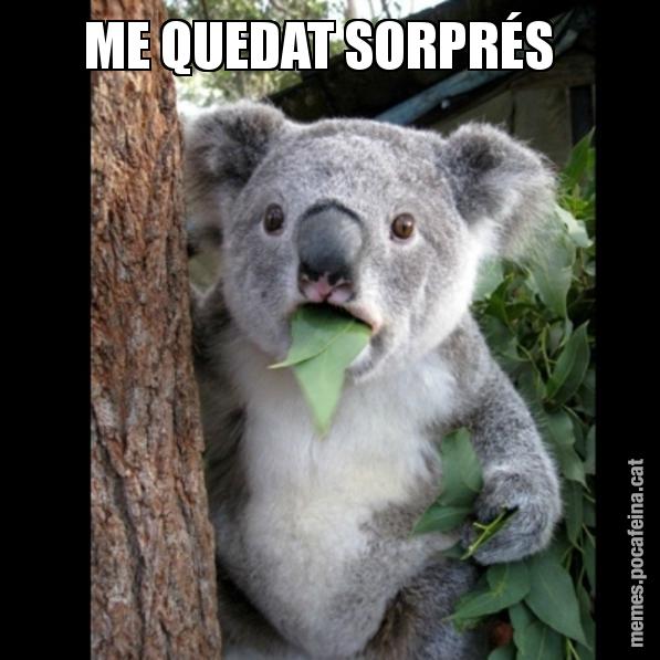 ME QUEDAT SORPRÉS - Koala Cant Believe It