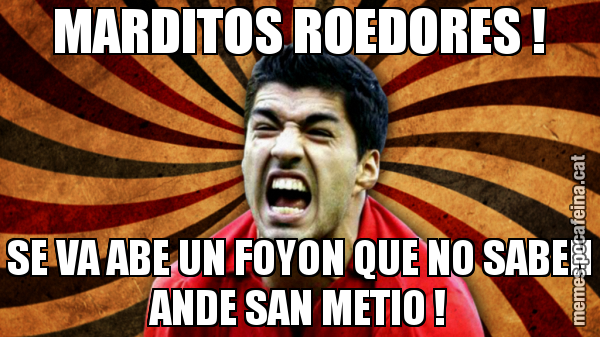 MARDITOS ROEDORES ! SE VA ABE UN FOYON QUE NO SABEN ANDE SAN METIO !