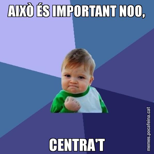 AIXÒ ÉS IMPORTANT NOO, CENTRA'T - Success Kid