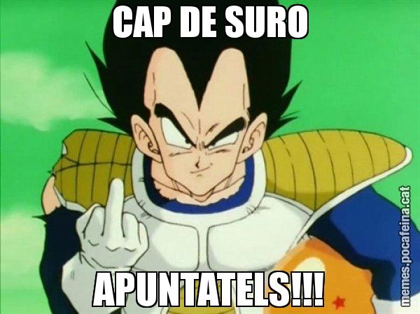 CAP DE SURO APUNTATELS!!! - Vegeta
