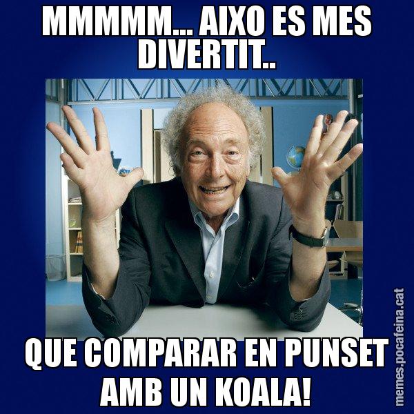 MMMMM... AIXO ES MES DIVERTIT.. QUE COMPARAR EN PUNSET AMB UN KOALA! - Eduard Punset
