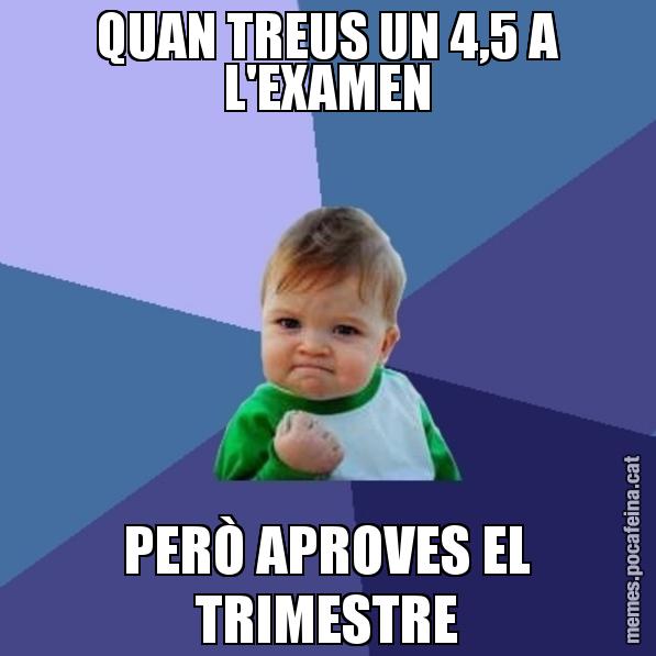 QUAN TREUS UN 4,5 A L'EXAMEN PERÒ APROVES EL TRIMESTRE - Success Kid