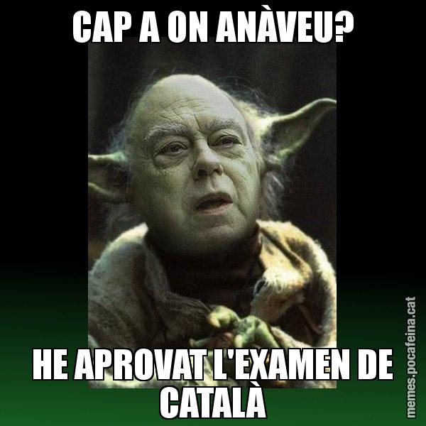 CAP A ON ANÀVEU? HE APROVAT L'EXAMEN DE CATALÀ - Yodi Pujol
